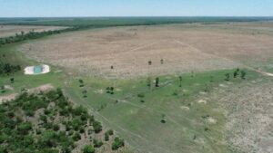 Proprietário rural é autuado em R$ 1,4 milhão por uso irregular de área de preservação em Peixe