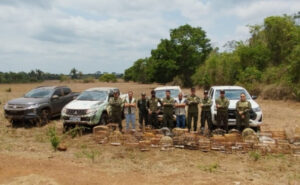 Ação ambiental desmonta criadouros ilegais e liberta dezenas de aves no norte do Tocantins