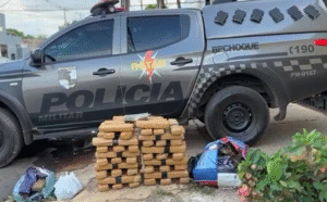 Denúncia leva polícia a apreender mais de 80 kg de maconha em área de mata na região sul de Palmas