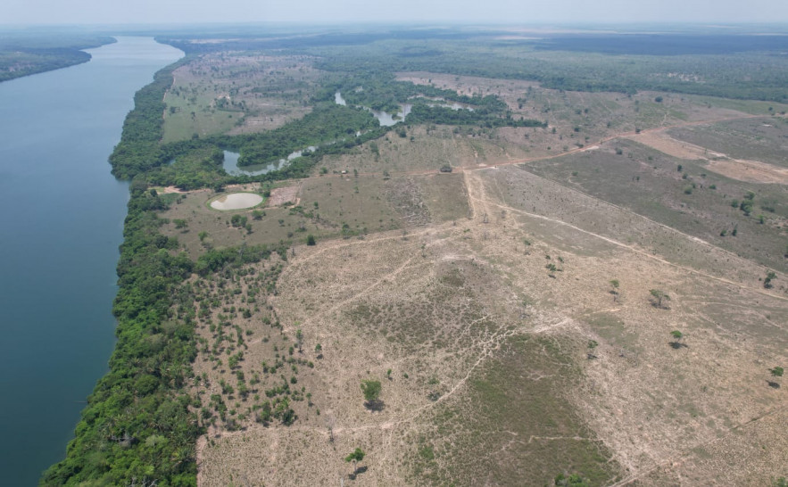 Multa de R$ 510 mil é aplicada após destruição de 101 hectares de vegetação nativa em fazenda no norte do Tocantins