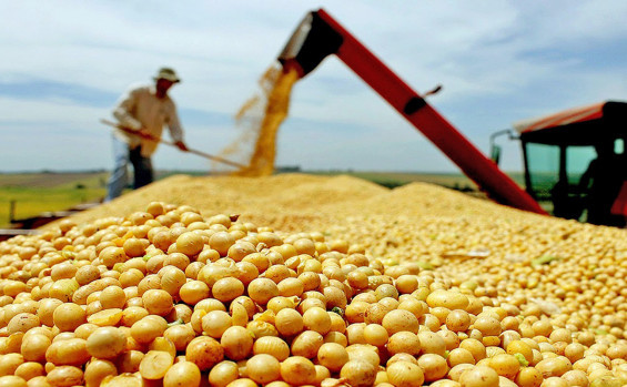 Tocantins se destaca no agro com safra de quase 10 milhões de toneladas e crescimento de 16%