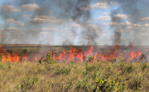 Suspensão das queimadas controladas é prorrogada no Tocantins devido ao risco de incêndios florestais