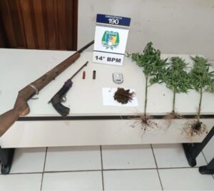 Foragido da Justiça é preso e revela esconderijo com armas caseiras e pés de maconha na zona rural de Colinas