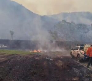 Defesa Civil controla três grandes incêndios florestais em Taquaruçu e Taquaralto