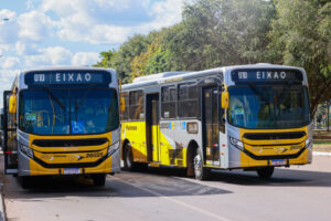 Palmas terá linha especial de ônibus para transporte gratuito aos cemitérios no Dia de Finados neste domingo, 2