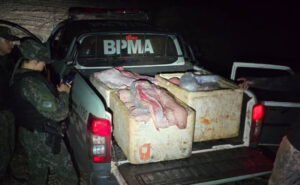 Quase 350 kg de peixe são apreendidos e dois homens presos em operação no início da Piracema