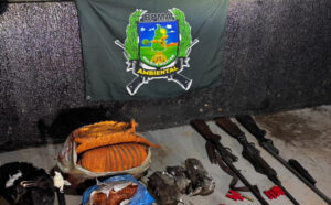 Dupla é presa após perseguição na TO-446 com armas e dez animais silvestres abatidos