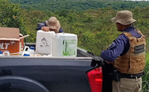 Carga com 380 litros de veneno agrícola sem nota é apreendida em bloqueio na TO-040