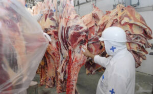 Com alta de 7,9%, PIB do Tocantins chega a R$ 64,3 bilhões e coloca estado entre os que mais cresceram no país, segundo o IBGE