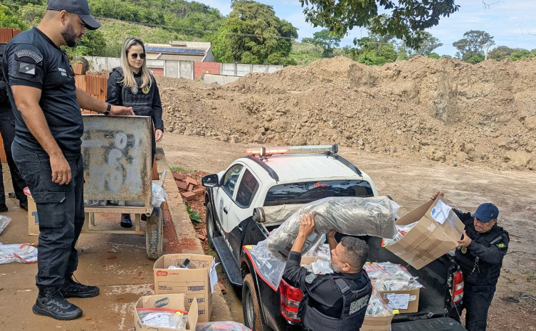 Quase 300 kg de drogas são incinerados após operações da Polícia Civil no sul do Tocantins