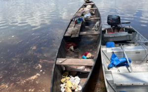 Fiscalização no Rio Javaés flagra canoa com 3 mil filhotes e matrizes de Tartaruga da Amazônia