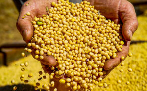 Com alta de 21,7%, Tocantins supera US$ 3 bilhões em exportações e se destaca na Região Norte do país