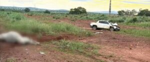 Dois homens morrem após carro bater em boi na BR-242 no sul do Estado