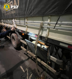 PRF registra maus-tratos contra animais em transporte irregular de aves no norte do Estado