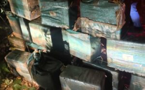 Quase meia tonelada de cocaína é encontrada enterrada em mata no sul do Tocantins após pouso clandestino de avião