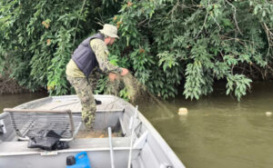 Durante o Carnaval, Naturatins retira mais de 12 km de redes ilegais, apreende armas e aplica multa por desmatamento