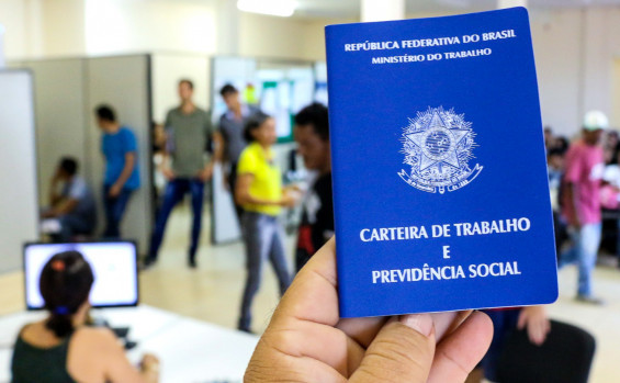 Tocantins lidera Região Norte com menor taxa de desemprego desde 2012, aponta Pnad