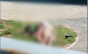 Três agentes da GMP são afastados por suspeita de omissão em caso investigado como estupro de vulnerável na Graciosa Três agentes da GMP são afastados por suspeita de omissão em caso investigado como estupro de vulnerável na Graciosa