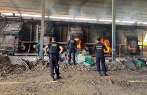 PF incinera quase duas toneladas de drogas apreendidas no primeiro semestre no TO