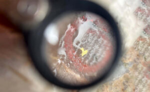 Setor mineral movimenta R$ 2 bilhões no Tocantins e ouro lidera exportações com quase 2 toneladas enviadas ao exterior