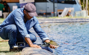 Produção de peixes no TO cresce 12,7% e estado tem 4ª maior evolução do país, segundo anuário
