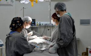 Mutirão no HGP realiza 20 cirurgias pediátricas entre sábado (18) e domingo (19) pelo programa Opera Tocantins