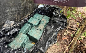 Meia tonelada de cocaína é encontrada enterrada em fazenda no interior do TO