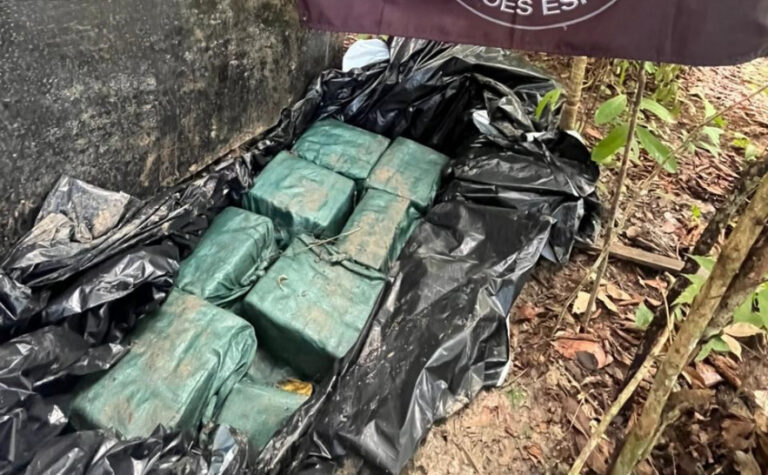 Meia tonelada de cocaína é encontrada enterrada em fazenda no interior do TO