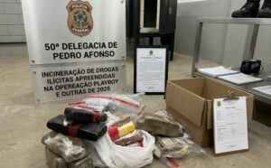 Mais de 10 kg de drogas são incinerados após apreensões no interior do TO e volume já supera anos anteriores