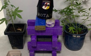 Mais de 12 kg de drogas e comprimidos de LSD são apreendidos na região sul de Palmas