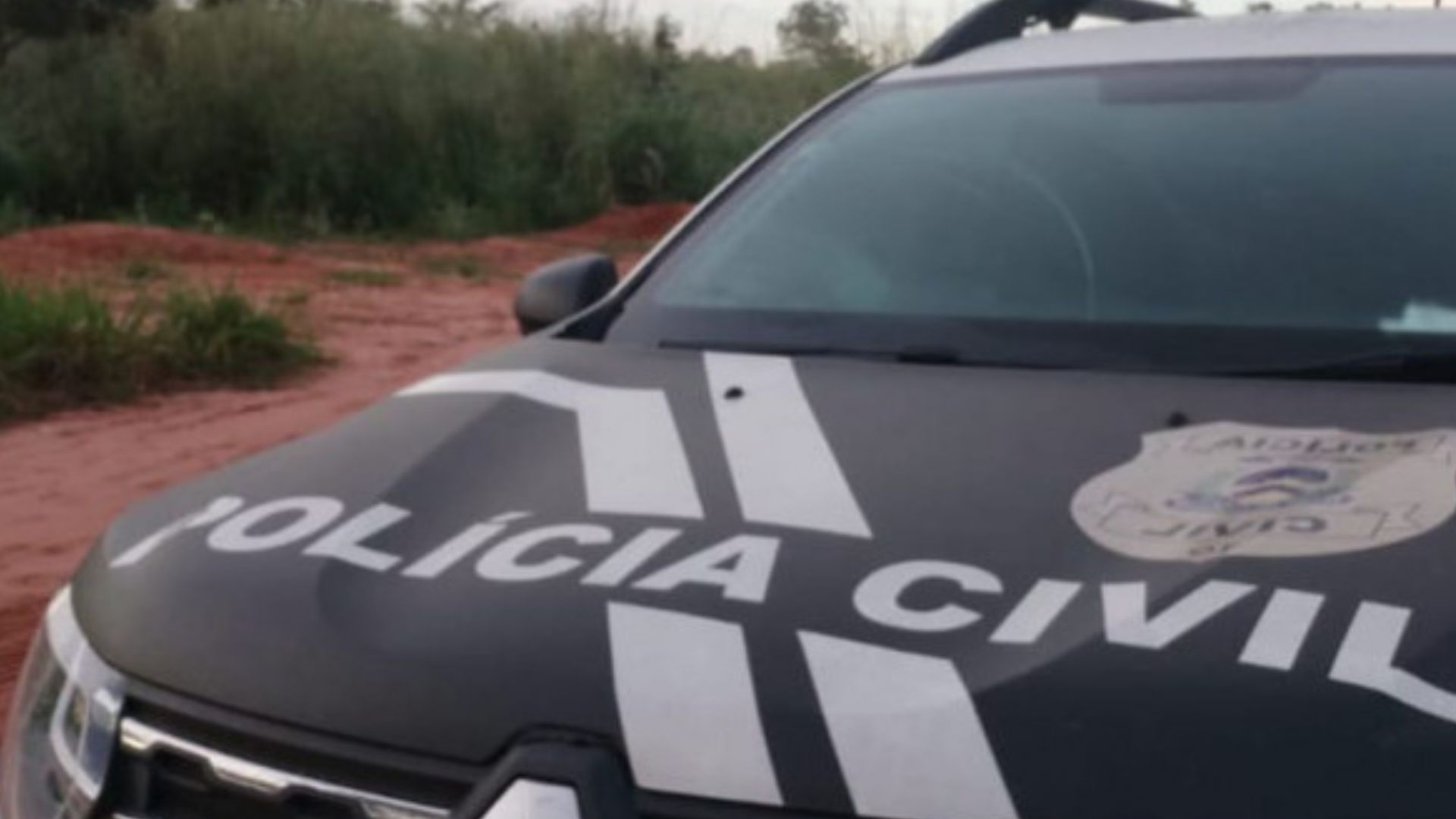 Idoso é preso suspeito de matar cachorros a tiros e por posse irregular de arma no sul do TO