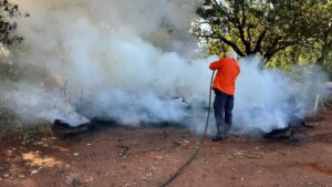 Palmas registra mais incêndios urbanos, e Defesa Civil alerta para riscos com lixo e entulho