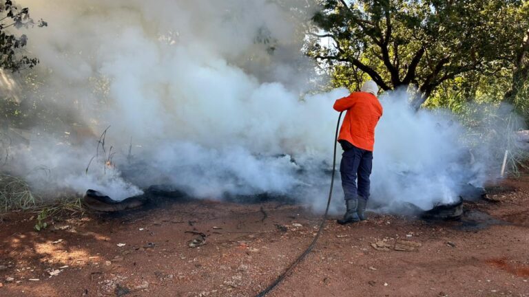 Palmas registra mais incêndios urbanos, e Defesa Civil alerta para riscos com lixo e entulho