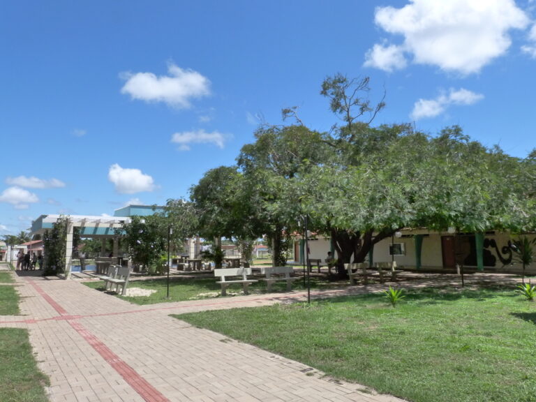 Homem é denunciado pelo MP por estuprar e manter estudante em cárcere dentro da UFT em Miracema