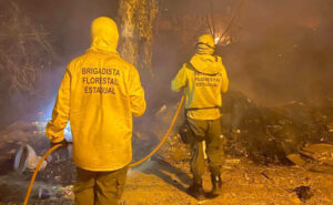 Corpo de Bombeiros abre seleção com quase 200 vagas para brigadistas florestais no Tocantins