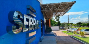 Sebrae realiza Semana do MEI com programação gratuita para empreendedores em cidades do TO