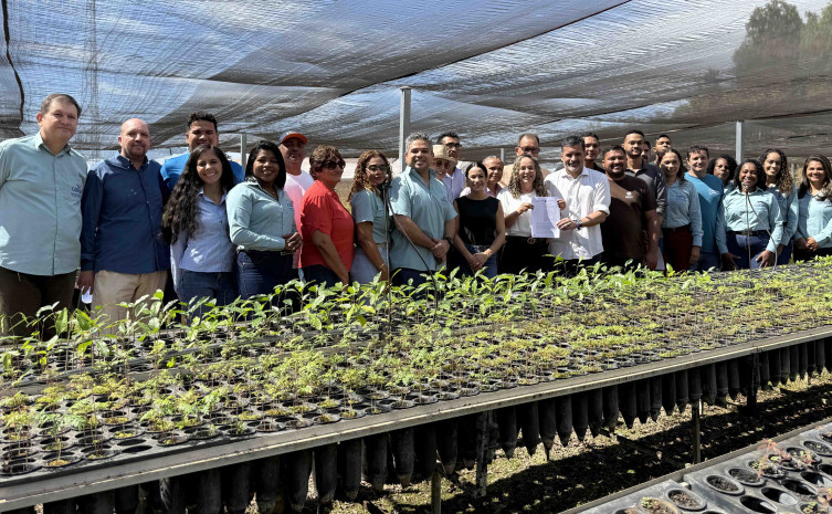 Projeto reúne Estado, UFT e 13 municípios para recuperar áreas degradadas no sul do TO