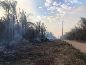 Sob efeito do El Niño, Tocantins terá calor acima de 35°C, baixa umidade e risco de queimadas