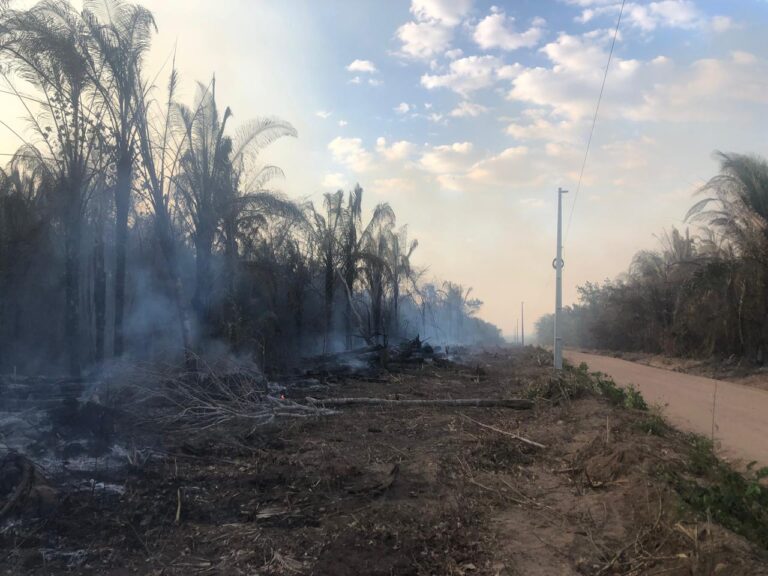 Fumaça de queimadas pode provocar curto-circuitos e deixar cidades sem energia no TO; entenda o risco