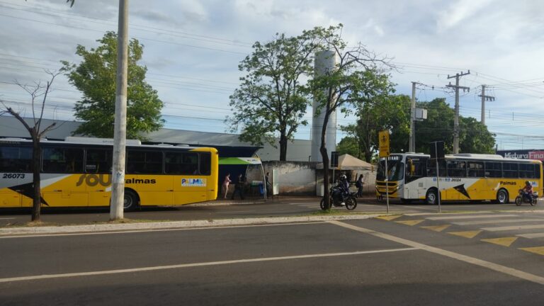 Prefeitura de Palmas disponibiliza ônibus para atender público da Feira do Aureny I transferida para o Aureny III