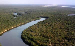 Sancionada lei que muda prazos e regras para emissão de licenças ambientais no Tocantins
