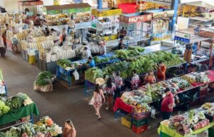 Com serviços de saúde e show, Feira da 304 Sul celebra Dia do Feirante nesta terça-feira, 25 em Palmas; veja programação