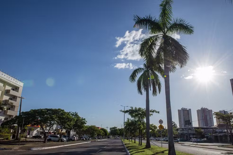 JusTocantins | O seu canal diário de Notícias Palmas registra temperaturas de até 39°C e pode chegar a 40°C no domingo; veja previsão e cuidados com o calor