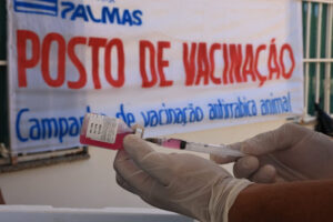 Palmas terá Dia D de vacinação contra a raiva neste sábado (29) após caso em cadela não vacinada