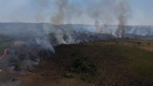 Incêndio de grandes proporções atinge cerca de 150 hectares na zona rural de Palmas; combate durou oito horas
