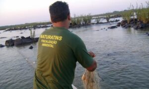 Piracema no TO começa em novembro e comerciantes têm até 31 de outubro para declarar estoque de peixes