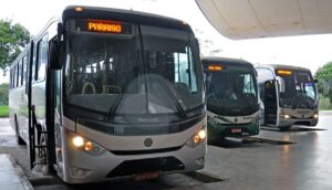 Eleitores terão transporte intermunicipal gratuito no TO durante o 2º turno; veja horários