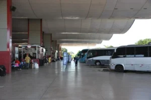 Transporte intermunicipal será gratuito no Tocantins no dia da eleição; veja como funciona
